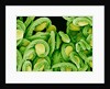 Seed Heads of an Epiphyllum Cactus by Anonymous