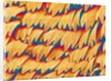 Scales of a Swallowtail Butterfly by Anonymous