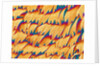 Scales of a Swallowtail Butterfly by Anonymous