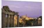 Ruins at the Ancient Forum, Rome, Italy by Anonymous
