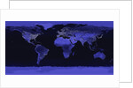 Earth at Night by Anonymous