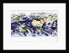 Earth with Clouds by Anonymous