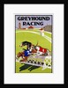 Greyhound Racing Poster by Anonymous