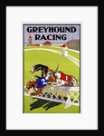 Greyhound Racing Poster by Anonymous