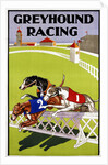 Greyhound Racing Poster by Anonymous