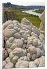 Sandstone Formations on the Banks of the Missouri by Anonymous