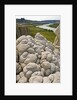 Sandstone Formations on the Banks of the Missouri by Anonymous