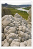 Sandstone Formations on the Banks of the Missouri by Anonymous