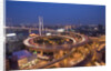 Nanpu Bridge and Highway Overpasses at Night by Anonymous