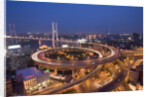 Nanpu Bridge and Highway Overpasses at Night by Anonymous