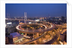 Nanpu Bridge and Highway Overpasses at Night by Anonymous