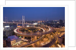 Nanpu Bridge and Highway Overpasses at Night by Anonymous