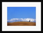 Cypress on Hills in Tuscany by Anonymous
