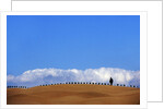 Cypress on Hills in Tuscany by Anonymous