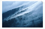 Fog in the Smokey Mountains by Anonymous