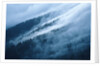 Fog in the Smokey Mountains by Anonymous