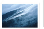 Fog in the Smokey Mountains by Anonymous