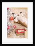 Dog Lying on Rug by Christmas Tree by Anonymous