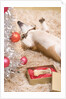Dog Lying on Rug by Christmas Tree by Anonymous
