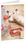 Dog Lying on Rug by Christmas Tree by Anonymous