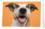 Dog by Anonymous