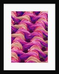Polyester and Nylon Cloth of Woman's Bodybriefer by Anonymous