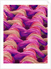 Polyester and Nylon Cloth of Woman's Bodybriefer by Anonymous