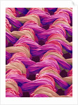 Polyester and Nylon Cloth of Woman's Bodybriefer by Anonymous