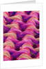 Polyester and Nylon Cloth of Woman's Bodybriefer by Anonymous
