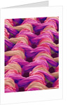 Polyester and Nylon Cloth of Woman's Bodybriefer by Anonymous
