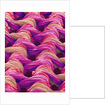 Polyester and Nylon Cloth of Woman's Bodybriefer by Anonymous