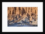 SUV Driving Through Valley of the Moon by Anonymous