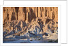 SUV Driving Through Valley of the Moon by Anonymous