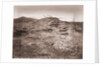 Valley of the Kings by Anonymous