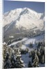 Mont Blanc by Anonymous