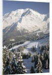Mont Blanc by Anonymous