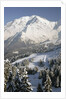 Mont Blanc by Anonymous