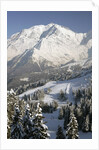 Mont Blanc by Anonymous