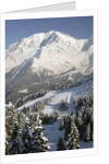 Mont Blanc by Anonymous