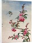 18th-Century Chinese Watercolor of Pink Flowers by Anonymous