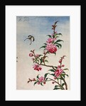 18th-Century Chinese Watercolor of Pink Flowers by Anonymous
