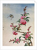 18th-Century Chinese Watercolor of Pink Flowers by Anonymous