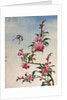 18th-Century Chinese Watercolor of Pink Flowers by Anonymous