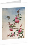 18th-Century Chinese Watercolor of Pink Flowers by Anonymous