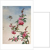 18th-Century Chinese Watercolor of Pink Flowers by Anonymous