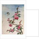 18th-Century Chinese Watercolor of Pink Flowers by Anonymous