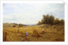 Harvest Time by Alfred Augustus Glendening II