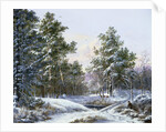 A Fine Winter's Day by Pieter Gerardus van Os