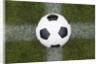 Soccer Ball by Anonymous
