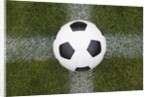 Soccer Ball by Anonymous